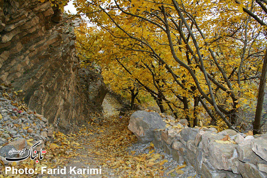 تصویر/جلوه‌ای از پاییز در کردستان(2)
