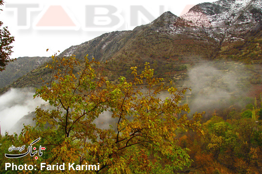 تصویر/جلوه‌ای از پاییز در کردستان(6)