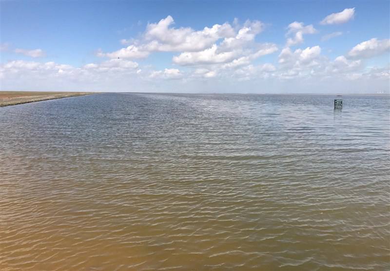 احیای تالاب الله‌آباد قزوین در مسیر عملیاتی شدن