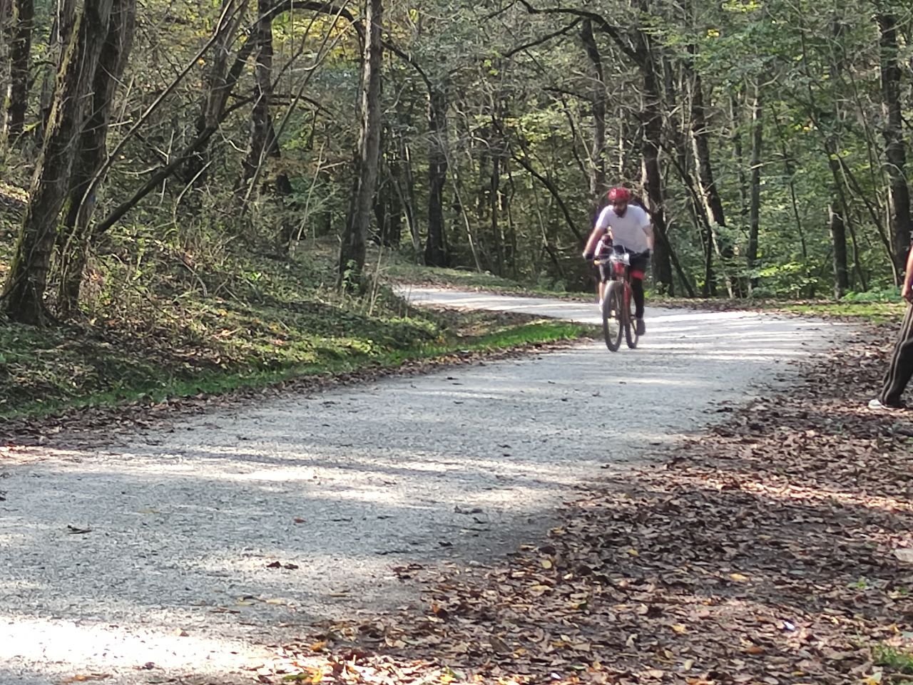 مرحله&zwnj;ی دوم مسابقات لیگ کوهستان مازندران (ماراتن) برگزار شد